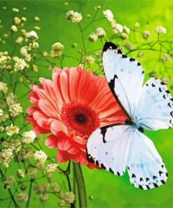 White Butterfly And Flowers paint by number