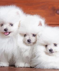 White Fluffy Puppies paint by number