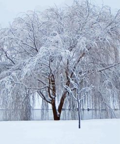Winter Weeping Willow Tree paint by number