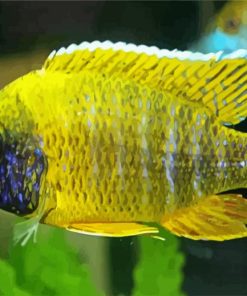 Yellow Cichlid paint by numbers