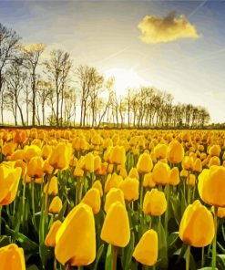 Yellow Tulips Flowers Field paint by number