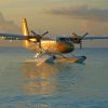 DHC 6 Twin Otter paint by number