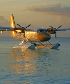 DHC 6 Twin Otter paint by number