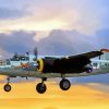 B25 Mitchell Sunset paint by number