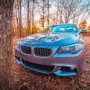 BMW 535i Sport Car paint by number