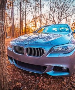 BMW 535i Sport Car paint by number