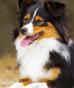 Breed Dog paint by number