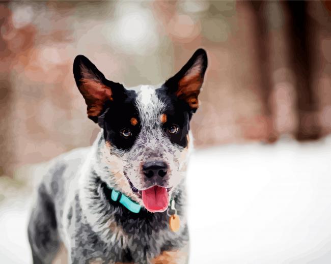 Cute Blue Heeler Dog paint by number