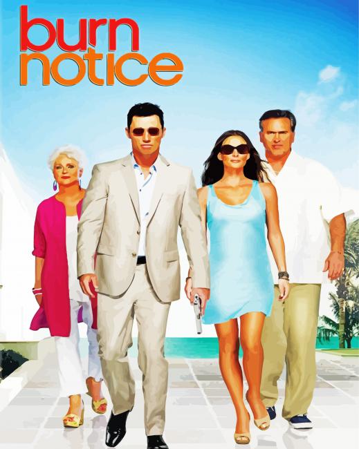 Burn Notice American Serie paint by number