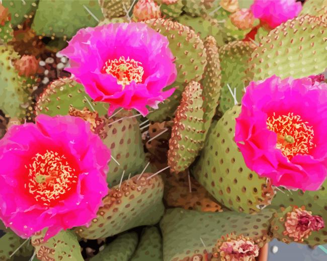 Cactus Plant With Pink Roses paint by number