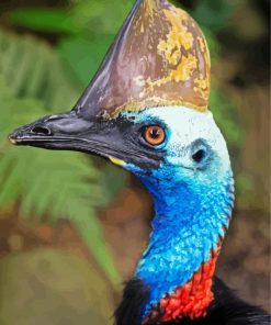 Cassowary Bird Animal paint by number