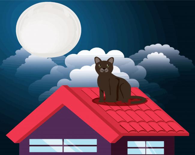 Cat On Roof paint by number