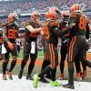 Cleveland Browns Team paint by number