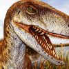 Close Up Velociraptor paint by number