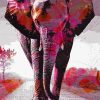 Colorful Pink Elephant paint by number