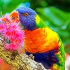 Cute Parrot And Flowers paint by number