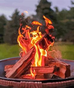 Fire Pit paint by number