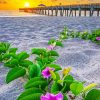 Flowers On Beach At Sunset paint by number