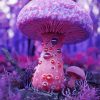 Fantasy Purple Mushroom paint by number