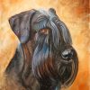 Giant Schnauzer Art paint by number