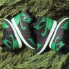 Jordan 1 Green Sneakers paint by number