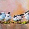 Long Tailed Tits On A Branch paint by number