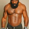 MMA Kimbo Slice paint by number