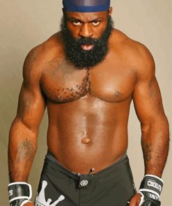 MMA Kimbo Slice paint by number