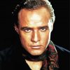 Marlon Brando paint by number