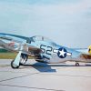 Mustang P51 Plane paint by number
