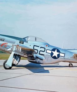 Mustang P51 Plane paint by number