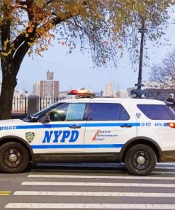 Nypd Car paint by number