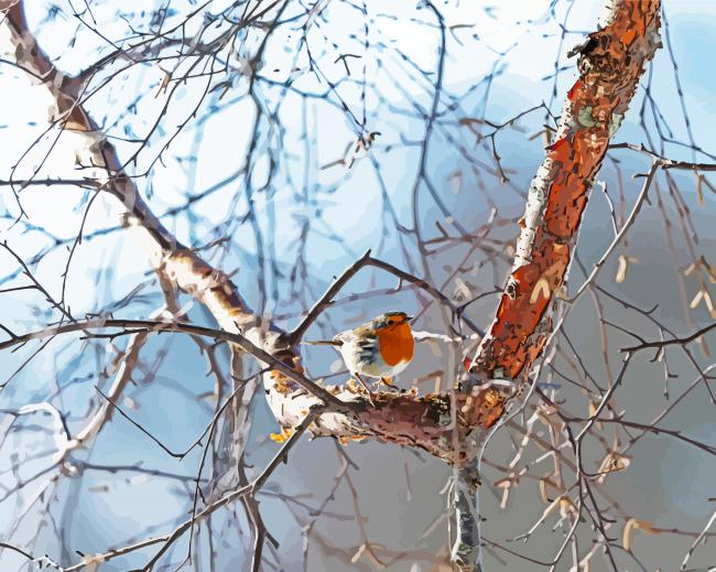 Robin In A Birch Bird paint by number