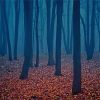 Scary Dark Forest paint by number