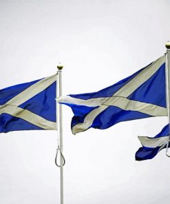 Scottish Flags paint by number