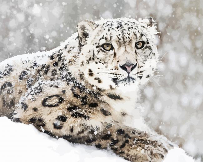 Snow Animal paint by number