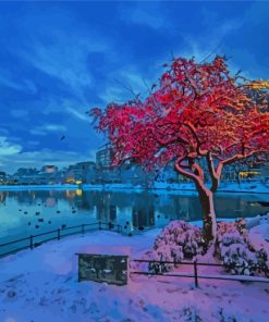 Stavanger In Winter paint by number