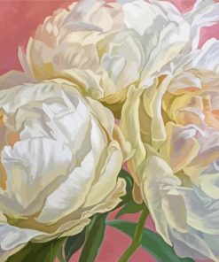 White Peonies paint by number
