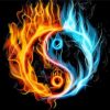Yin Yang Fire paint by number