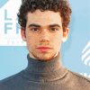 The Actor Cameron Boyce paint by number