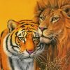 Lion And Tiger paint by number