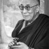 Black And White Dalai Lama paint by number