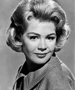 Black And White Sandra Dee paint by number