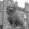 Black And White Greyfriars Bobby paint by number