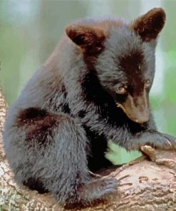 Black Baby Bear paint by number