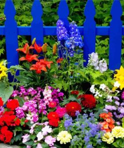 Blue Fence And Colorful Flowers paint by number
