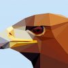 Brown Eagle Head Abstract paint by number