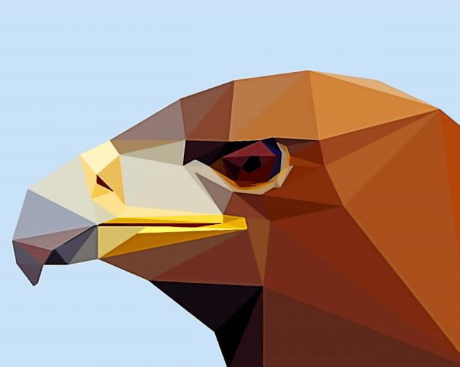 Brown Eagle Head Abstract paint by number