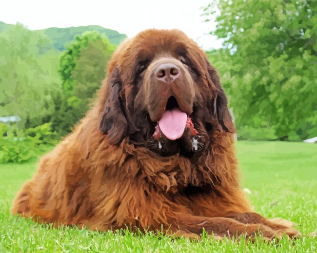 Brown Newfie Dog paint by number