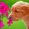 Brown Puppy With Pink Flowers paint by number